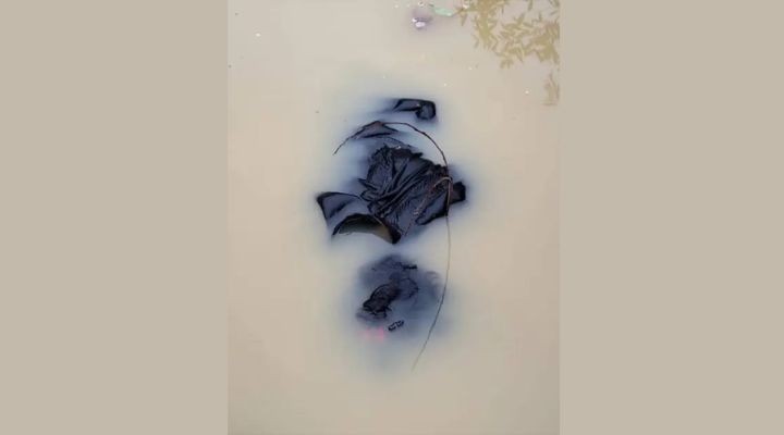 রোহিঙ্গা ক্যাম্পে জলাশয় থেকে নারীর মরদেহ উদ্ধার